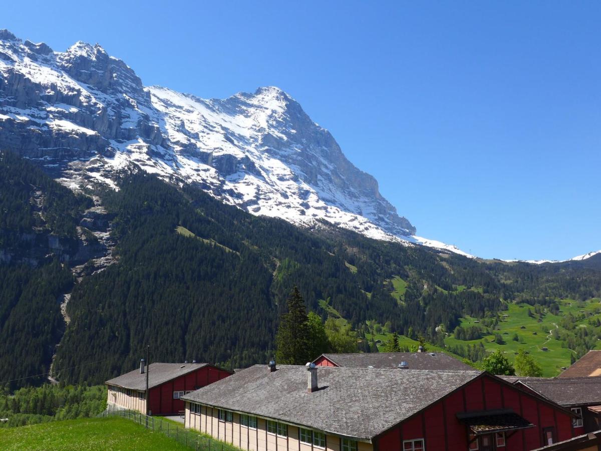 Apartment Chalet Almisgässli Grindelwald Exteriör bild