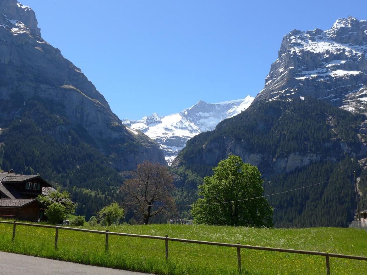 Apartment Chalet Almisgässli Grindelwald Exteriör bild
