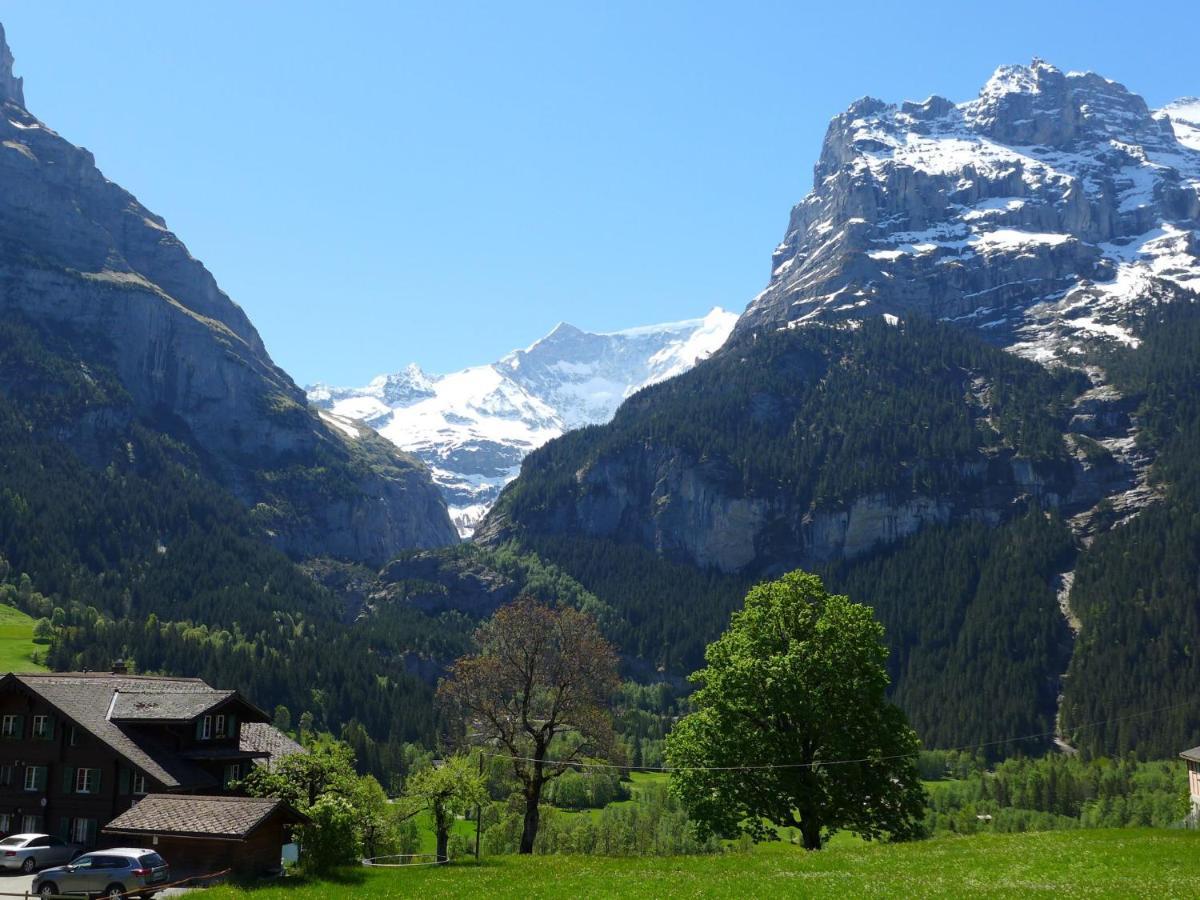 Apartment Chalet Almisgässli Grindelwald Exteriör bild