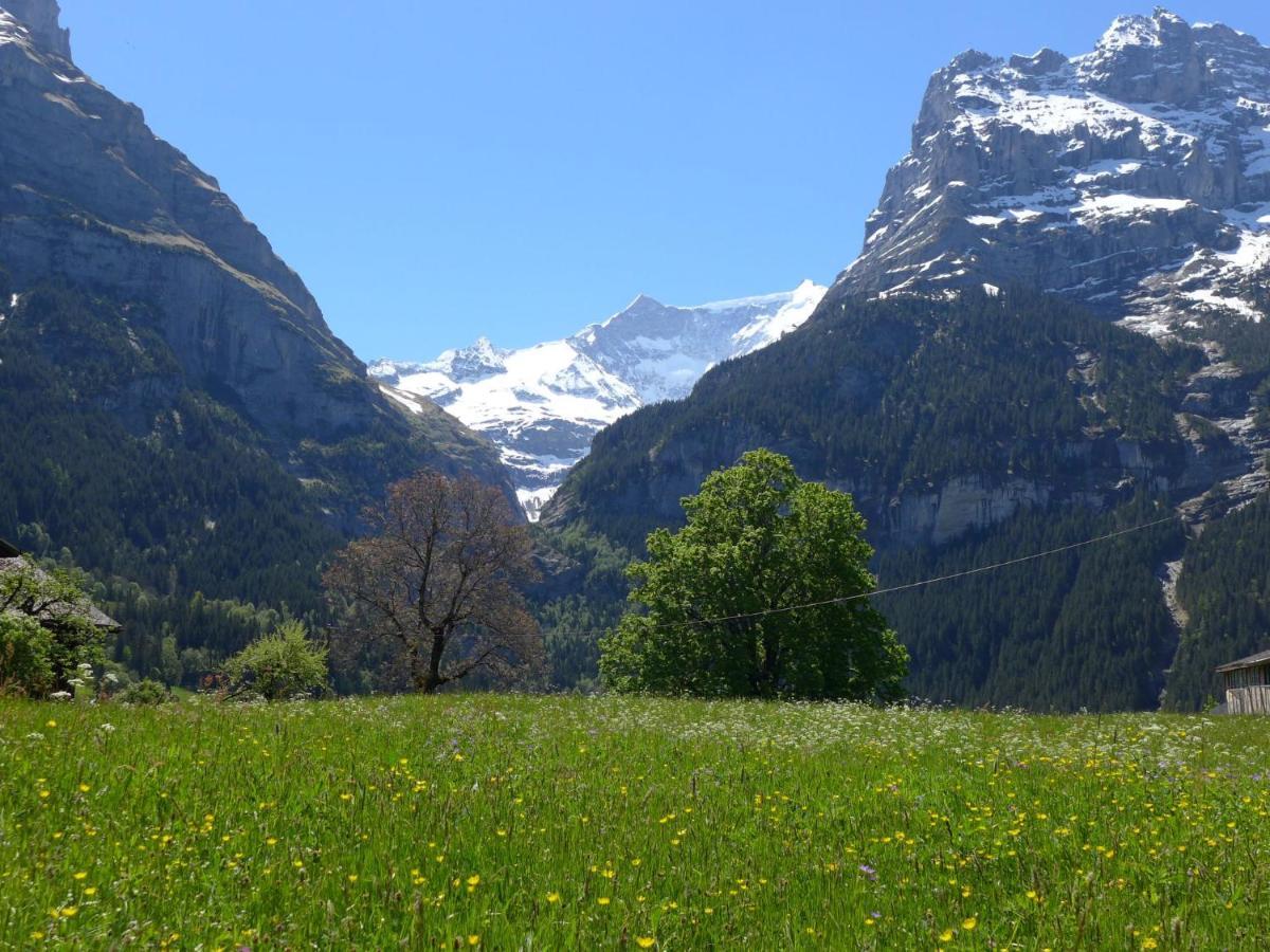 Apartment Chalet Almisgässli Grindelwald Exteriör bild