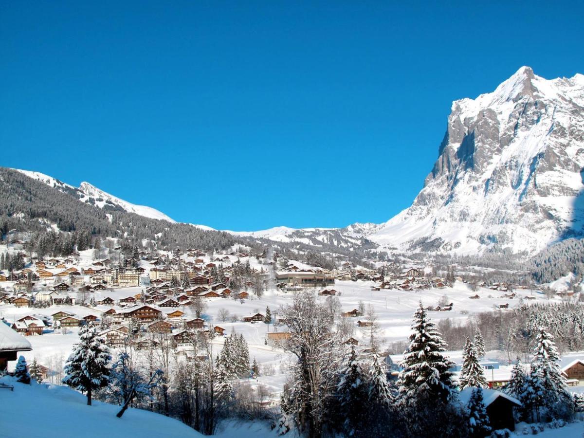Apartment Chalet Almisgässli Grindelwald Exteriör bild
