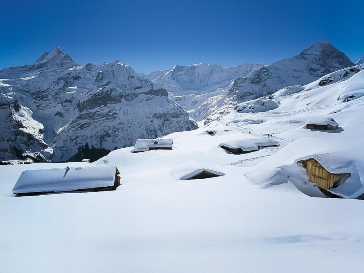 Apartment Chalet Almisgässli Grindelwald Exteriör bild